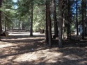 Great golf course lot on the water hole at Lake Almanor West for sale in Lake Almanor West California Plumas County County on GolfHomes.com