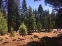Ideal Lake Almanor Country Club lot with 125' of frontage. A for sale in Lake Almanor California Plumas County County on GolfHomes.com