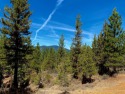 Fantastic forest sanctuary! This beautiful parcel is set in the for sale in Portola California Plumas County County on GolfHomes.com