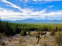 Spectacular panoramic views of the Sierra Crest from this open for sale in Clio California Plumas County County on GolfHomes.com