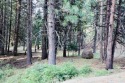 Beautiful level lot located in Lake Almanor West. Perfectly for sale in Lake Almanor West California Plumas County County on GolfHomes.com