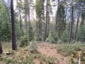 Enjoy wildlife and peace and quiet on this 2.7 Acre lot in the for sale in Mccloud California Siskiyou County County on GolfHomes.com