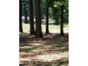 Large, wooded lot on Oyster Bay #11 Hole in Sea Trail Plantation for sale in Sunset Beach North Carolina Brunswick County County on GolfHomes.com