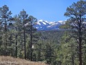 Fabulous Views!  This is one of the last lots in Alto Lakes Golf for sale in Alto New Mexico Lincoln County County on GolfHomes.com