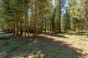 Picture if you will your dream Truckee home site! This wonderful for sale in Truckee California Nevada County County on GolfHomes.com