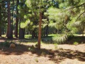 Great golf course lot in Almanor West located on the 7th Fairway for sale in Lake Almanor West California Plumas County County on GolfHomes.com