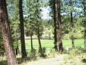 Parcel located in the prestigious, gated golf course community for sale in Portola California Plumas County County on GolfHomes.com
