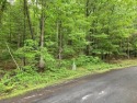 Very buildable lot (not steep) in Bryce Mountain Resort. Close for sale in Basye Virginia Shenandoah County County on GolfHomes.com