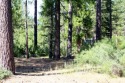 EUREKA! THIS WOODED HOMESITE BACKS UP TO OPEN SPACE AND PRIVACY for sale in Graeagle California Plumas County County on GolfHomes.com