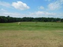 FANTASTIC OPPORTUNITY TO OWN 30.71 Acres FRONTING HWY 11 for sale in Gaffney South Carolina Cherokee County County on GolfHomes.com