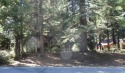 Beautiful level lot with over 1/3 acres located in prestigious for sale in Lake Almanor California Plumas County County on GolfHomes.com