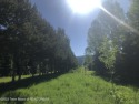 Large acreage within City if Victor impact area. Old tree farm for sale in Victor Idaho Teton County County on GolfHomes.com
