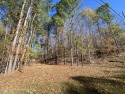 This exceptional lot in Stillwaters invites you to experience for sale in Dadeville Alabama Tallapoosa County County on GolfHomes.com
