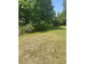 Looking for a flat lot?  Partially cleared? Driveway in place? for sale in Bracey Virginia Mecklenburg County County on GolfHomes.com