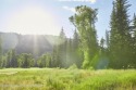 Lot 82 at Snake River Sporting Club is situated on over a half for sale in Jackson Wyoming Teton County County on GolfHomes.com