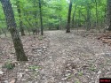 Good laying land in River Cliff subdivision of Bull Shoals for sale in Bull Shoals Arkansas Marion County County on GolfHomes.com