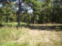  Ad# 6501376 golf course property for sale on GolfHomes.com