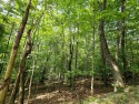 Build your dream home or weekend retreat on this wooded lot in for sale in Hideaway Hills Ohio Hocking County County on GolfHomes.com