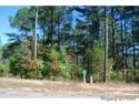 This great home site is located on a nature reserve with a view for sale in Spring Lake North Carolina Harnett County County on GolfHomes.com