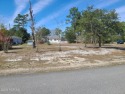 Location, location, location! This 33 ac. homesite is located in for sale in Boiling Spring Lakes North Carolina Brunswick County County on GolfHomes.com