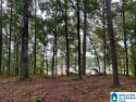 Beautiful property to build your feature home in Point Aquarius! for sale in Alpine Alabama Talladega County County on GolfHomes.com