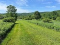 Beautiful 2.25 acre building lot in Delaware County. Panoramic for sale in Masonville New York Delaware County County on GolfHomes.com