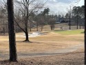 PREMIER approx. 2/3 acre level GOLF LOT on the 10th hole of for sale in Hot Springs Village Arkansas Saline County County on GolfHomes.com