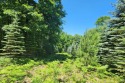 Very nice and large 3.5-acre parcel for your dream home in the, Michigan