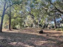 High And Dry .76 Acre Building Lot With Large Old  Oak Trees for sale in Palatka Florida Putnam County County on GolfHomes.com