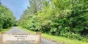 18+ Acres of Prime Land with River Frontage - Endless Potential!, South Carolina