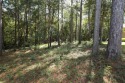 Beautiful Lot in The Village subdivision.  Ride your golf cart for sale in Hattiesburg Mississippi Forrest County County on GolfHomes.com