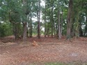Build your dream home in desirable Oak Grove Island.  This lot for sale in Brunswick Georgia Glynn County County on GolfHomes.com
