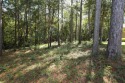 Wooded Lot in Beautiful Subdivision next door to the Hattiesburg for sale in Hattiesburg Mississippi Forrest County County on GolfHomes.com