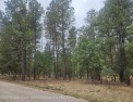 Full Golf membership to Alto Lakes Golf & Country Club.  Enjoy for sale in Alto New Mexico Lincoln County County on GolfHomes.com