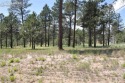 Beautiful lot in Flying Horse North .....lot has many mature for sale in Colorado Springs Colorado El Paso County County on GolfHomes.com