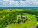 Build your dream home here! Two lots combined on Blueberry for sale in Alma Georgia Bacon County County on GolfHomes.com