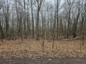 Level and wooded lot. This lot is a good opportunity to acquire for sale in Central City Pennsylvania Somerset County County on GolfHomes.com