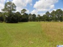 We present to you a rare and magnificent .75 acre lot - one of for sale in Florence South Carolina Florence County County on GolfHomes.com