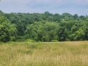 Beautiful building site with fantastic golf views! 1.07 acre for sale in Lake Carroll Illinois Carroll County County on GolfHomes.com