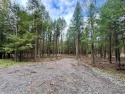 Build your dream lake home at Indian Lake! This large, 1.4 acre for sale in Central City Pennsylvania Somerset County County on GolfHomes.com