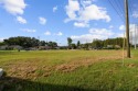Highly desirable and hard to find buildable lot in Lake Padgett for sale in Land O Lakes Florida Pasco County County on GolfHomes.com