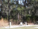Build your dream home on your dream lot.   Located in a gated for sale in Waverly Georgia Camden County County on GolfHomes.com