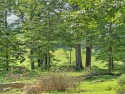  Ad# 6377180 golf course property for sale on GolfHomes.com