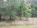 Beautiful home site in a highly desirable neighborhood, just for sale in Dunnellon Florida Citrus County County on GolfHomes.com