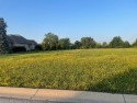 Large lot in great corner location in White Hawk Subdivision for sale in Crown Point Indiana Lake County County on GolfHomes.com