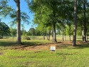Nice larger lot with a water view and view of the 7th hole of a for sale in Abita Springs Louisiana St. Tammany Parish County on GolfHomes.com