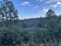 Nice Lot With Plenty Of Trees And Minimal Views.  Close To The for sale in Timberon New Mexico Otero County County on GolfHomes.com