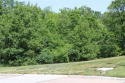 Here is your chance to own one of the remaining buildable lots for sale in Lake Saint Louis Missouri St. Charles County County on GolfHomes.com