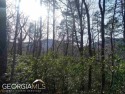 Wooded and very affordable lot with a great building knoll in a for sale in Clayton Georgia Rabun County County on GolfHomes.com