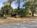 Located in a beautiful, quiet neighborhood, this vacant lot is for sale in Palm Bay Florida Brevard County County on GolfHomes.com